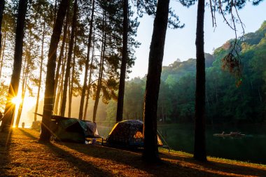 Pang oung göl ve orman sunrise Mae Hong Son, inci ile çam