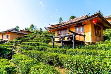 Rak Thai, Mae Hong Son, Tayland Çinli bir yerleşim yasağı.
