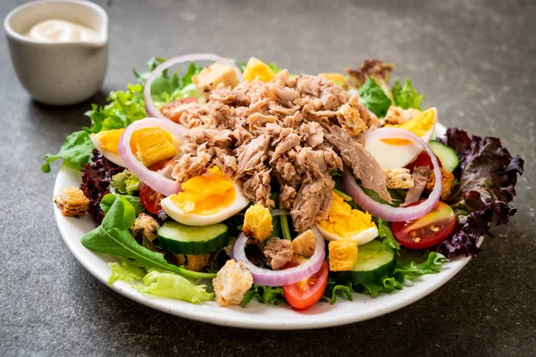 Sebze salatası ve yumurta ile tuna — Stok fotoğraf
