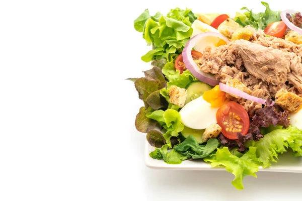 Thon avec salade de légumes et œufs - style alimentaire sain — Photo