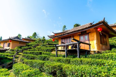 Rak Thai, Mae Hong Son, Tayland Çinli bir yerleşim yasağı.