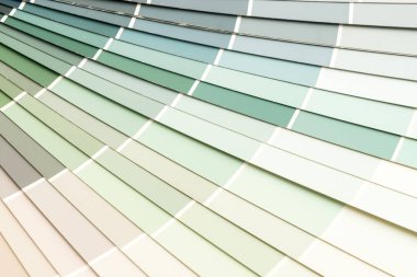 örnek renkler pantone Kataloğu