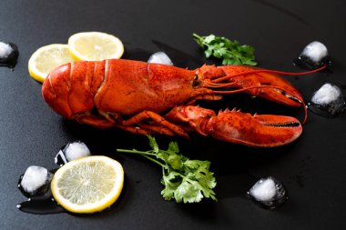buz ve limon ile kırmızı ıstakoz