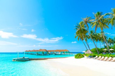 plaj ve deniz ile tropikal Maldivler tatil otel ve ada