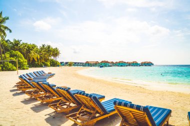 tropikal Maldivler Adası plaj ve deniz ile plaj sandalyesi