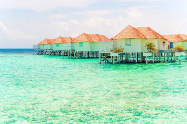 Plaj ile güzel tropikal Maldivler tatil oteli ve ada