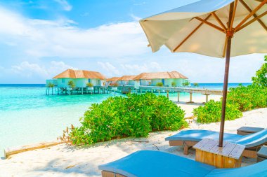 tropikal Maldivler Adası plaj ve deniz ile plaj sandalyesi