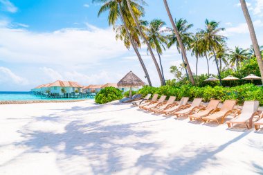tropikal Maldivler Adası plaj ve deniz ile plaj sandalyesi