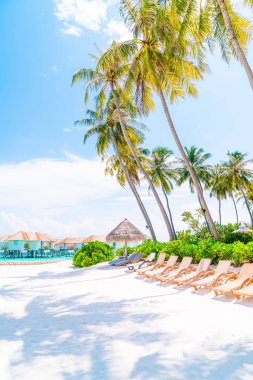 tropikal Maldivler Adası plaj ve deniz ile plaj sandalyesi