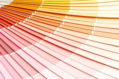 örnek renkler pantone Kataloğu
