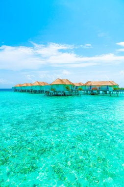 Plaj ile güzel tropikal Maldivler tatil oteli ve ada