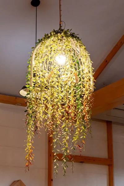 hanging lamp with plant