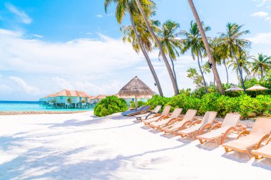 tropikal Maldivler Adası plaj ve deniz ile plaj sandalyesi