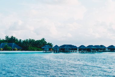 Okyanus ile Maldivler Adası