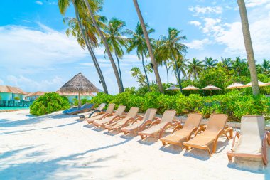 tropikal Maldivler Adası plaj ve deniz ile plaj sandalyesi