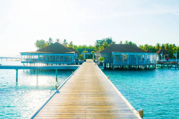 Plaj ile güzel tropikal Maldivler tatil oteli ve ada