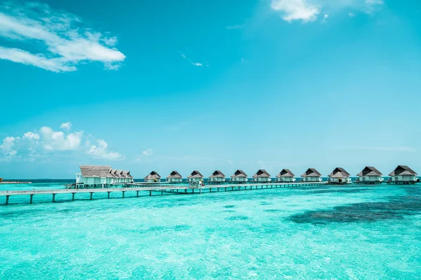 Plaj ile güzel tropikal Maldivler tatil oteli ve ada