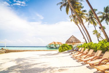 tropikal Maldivler Adası plaj ve deniz ile plaj sandalyesi