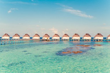 Plaj ile güzel tropikal Maldivler tatil oteli ve ada