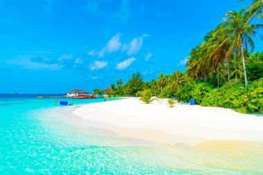 Plaj ile güzel tropikal Maldivler tatil oteli ve ada