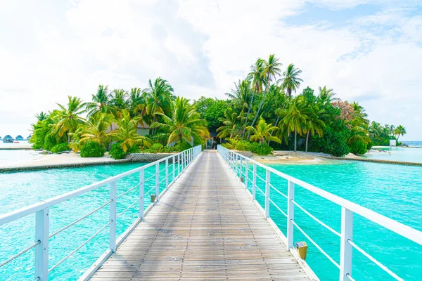 Plaj ile güzel tropikal Maldivler tatil oteli ve ada