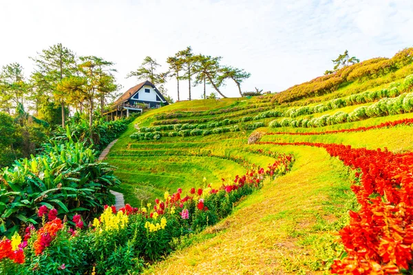 Schöner Sonnenaufgangshimmel mit Garten auf dem Berg bei huai nam dang n — Stockfoto