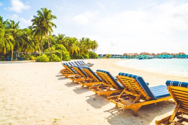 tropikal Maldivler Adası plaj ve deniz ile plaj sandalyesi