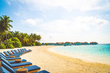tropikal Maldivler Adası plaj ve deniz ile plaj sandalyesi