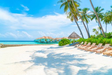 tropikal Maldivler Adası plaj ve deniz ile plaj sandalyesi