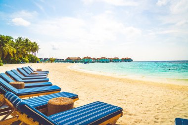 tropikal Maldivler Adası plaj ve deniz ile plaj sandalyesi