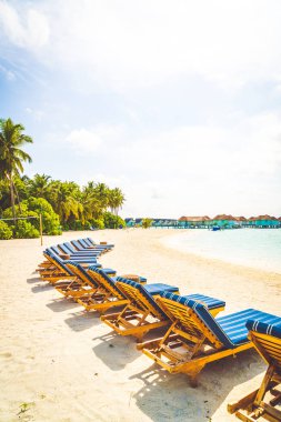 tropikal Maldivler Adası plaj ve deniz ile plaj sandalyesi
