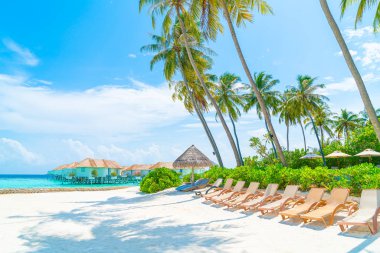 tropikal Maldivler Adası plaj ve deniz ile plaj sandalyesi