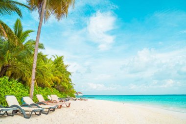 tropikal Maldivler Resort otel Adası ve deniz ile plaj sandalyesi 