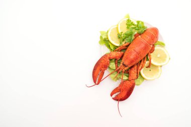 taze Haşlanmış istakoz sebze ve limon ile