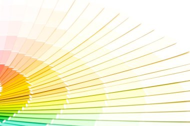 örnek renkler pantone Kataloğu