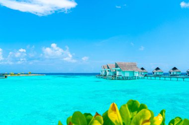Plaj ile güzel tropikal Maldivler tatil oteli ve ada