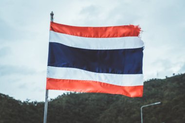 Tayland bayrağı