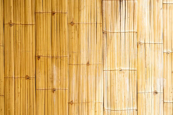 bamboo wall texture surface