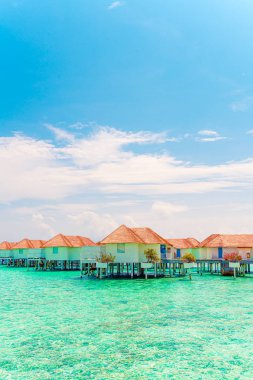Plaj ile güzel tropikal Maldivler tatil oteli ve ada