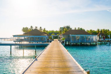 Plaj ile güzel tropikal Maldivler tatil oteli ve ada