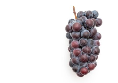 beyaz arka planda taze siyah üzüm