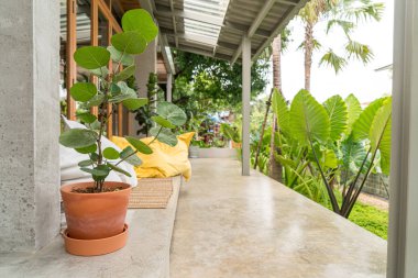 bankta ağaç saksı 