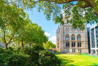 Londra Doğal Tarih Müzesi, Birleşik Krallık