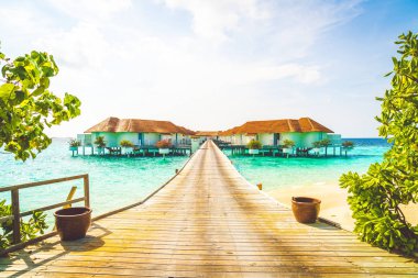 Plaj ile güzel tropikal Maldivler tatil oteli ve ada