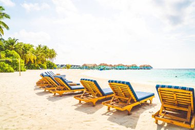 tropikal Maldivler Adası plaj ve deniz ile plaj sandalyesi