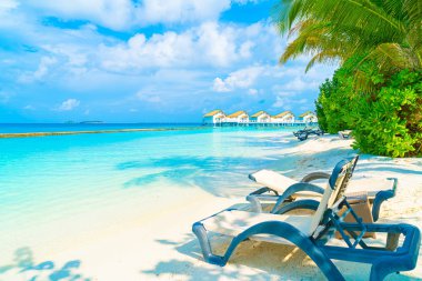 tropikal Maldivler Resort otel Adası ve deniz ile plaj sandalyesi 