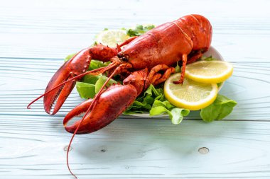 haşlanmış ıstakoz sebze ve limon ile