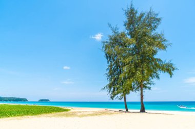 Güzel tropikal plaj ve deniz parad Hindistan cevizi hurma ağacı ile