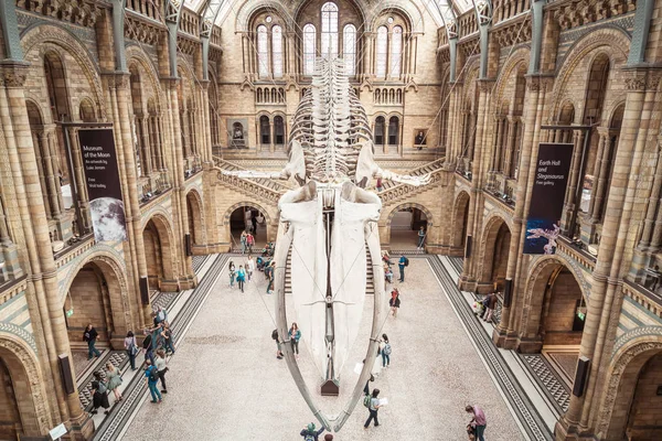 Londen-sep 4, 2019. Mensen bezoeken Natuurhistorisch Museum in Lon — Stockfoto