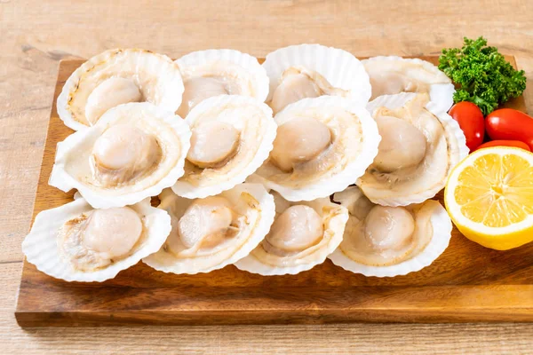 Fresh shell scallop — Stock Photo, Image